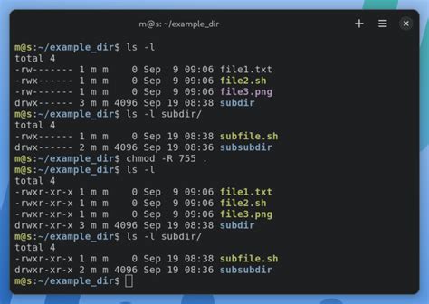 chmod folder recursive|linux .